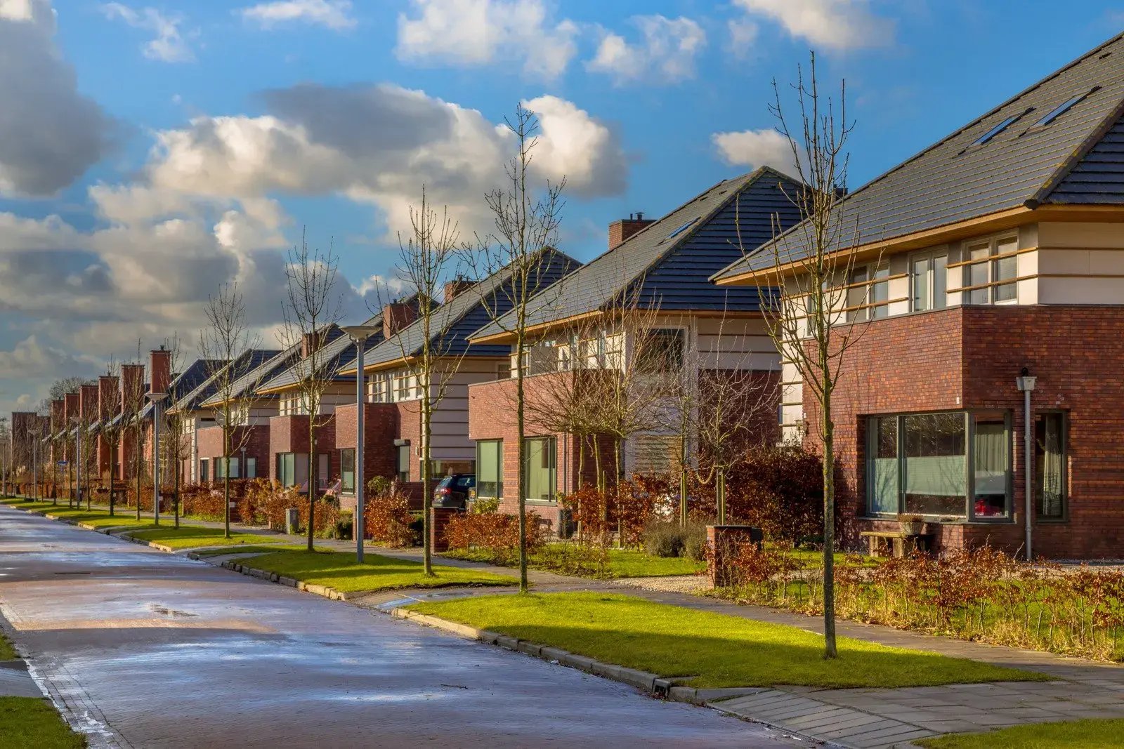 Photograph of a residential street with houses and trees