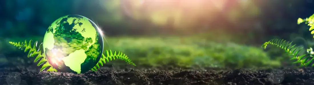 The MIS Group are proud to have achieved ISO 14001 accreditation